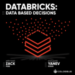 Databricks: Data Based Decisions